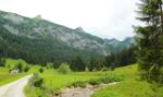 2014-07-05_Laengental-N-Hochweg (325)b. JPG